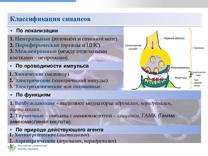 По локализации 1. Центральные (головной и спинной мозг). 2. Периферические