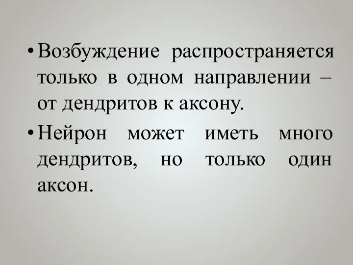 Возбуждение распространяется только в одном направлении – от дендритов к