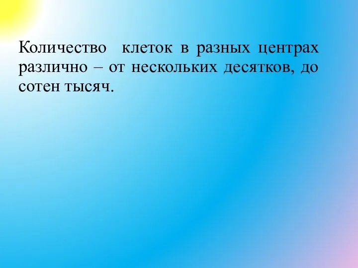 Количество клеток в разных центрах различно – от нескольких десятков, до сотен тысяч.