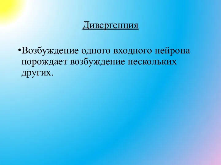 Дивергенция Возбуждение одного входного нейрона порождает возбуждение нескольких других.