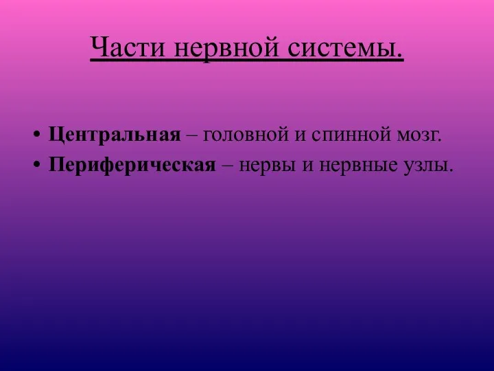 Части нервной системы. Центральная – головной и спинной мозг. Периферическая – нервы и нервные узлы.