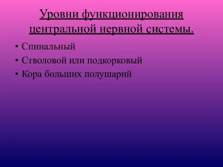 Уровни функционирования центральной нервной системы. Спинальный Стволовой или подкорковый Кора больших полушарий