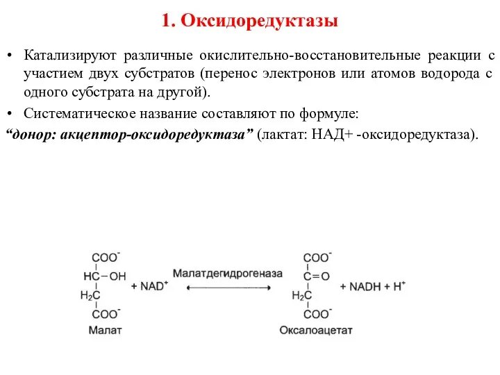 1. Оксидоредуктазы Катализируют различные окислительно-восстановительные реакции с участием двух субстратов