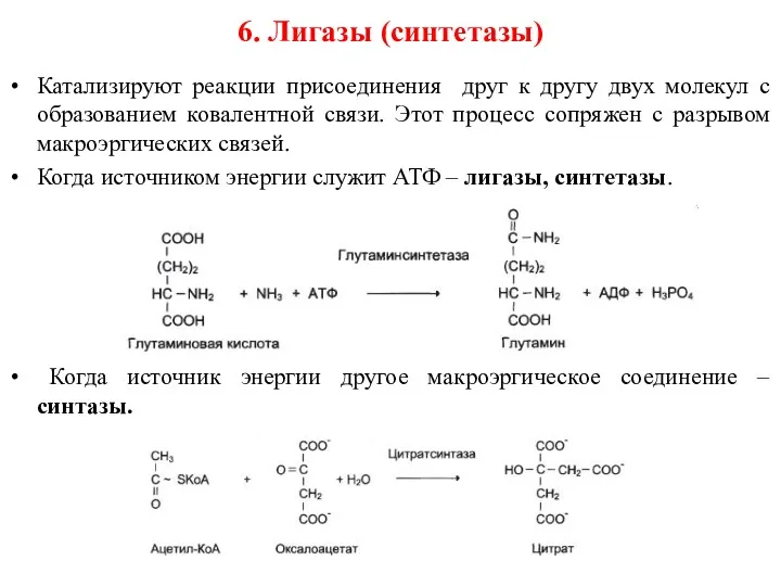 6. Лигазы (синтетазы) Катализируют реакции присоединения друг к другу двух