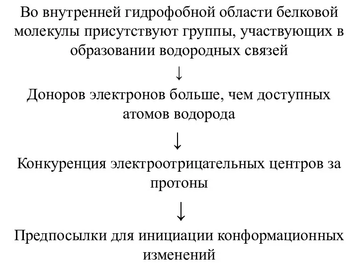 Во внутренней гидрофобной области белковой молекулы присутствуют группы, участвующих в