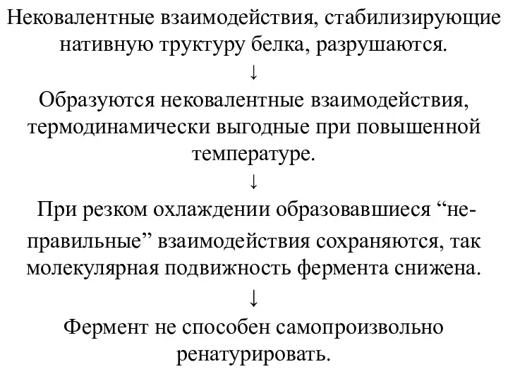 Нековалентные взаимодействия, стабилизирующие нативную труктуру белка, разрушаются. ↓ Образуются нековалентные