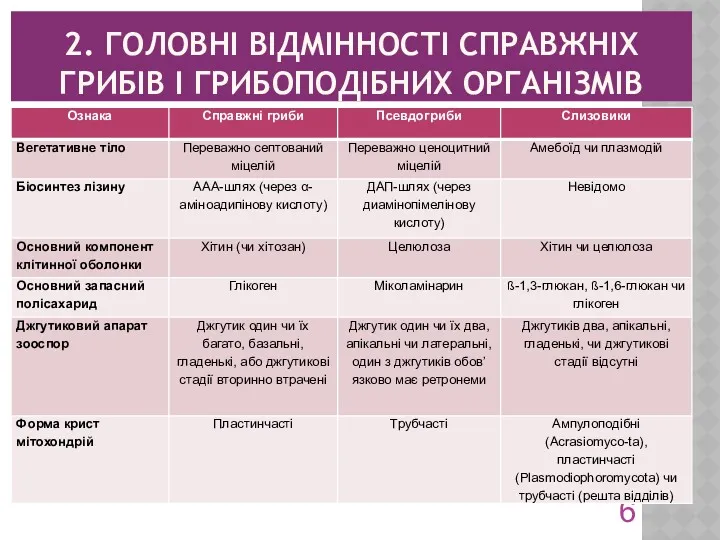 2. ГОЛОВНІ ВІДМІННОСТІ СПРАВЖНІХ ГРИБІВ І ГРИБОПОДІБНИХ ОРГАНІЗМІВ