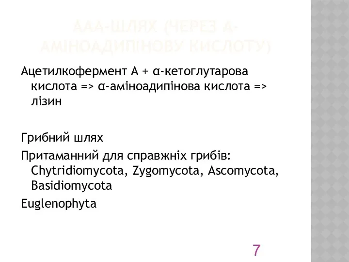 ААА-ШЛЯХ (ЧЕРЕЗ Α-АМІНОАДИПІНОВУ КИСЛОТУ) Ацетилкофермент А + α-кетоглутарова кислота =>