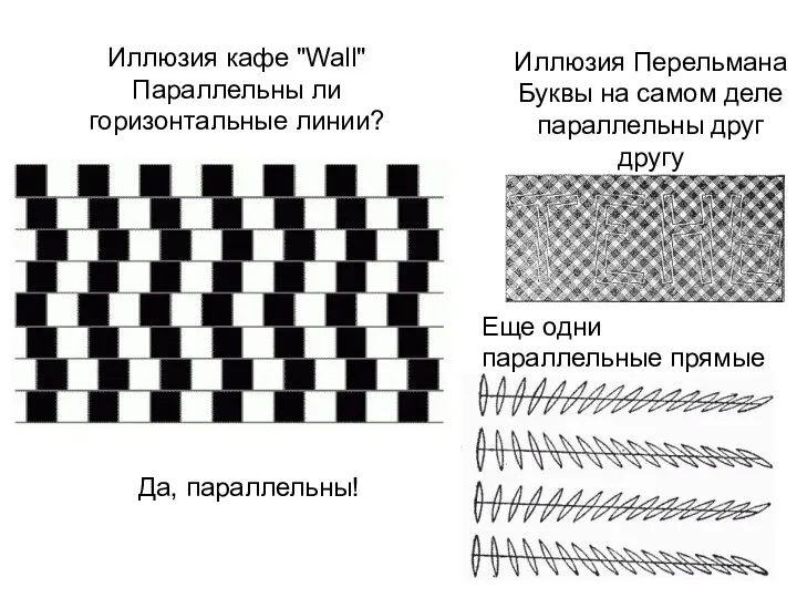 Иллюзия Перельмана Буквы на самом деле параллельны друг другу Еще