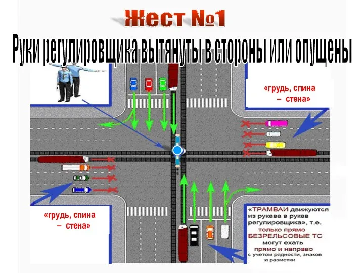 Жест №1 Руки регулировщика вытянуты в стороны или опущены «грудь,