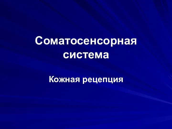 Соматосенсорная система Кожная рецепция