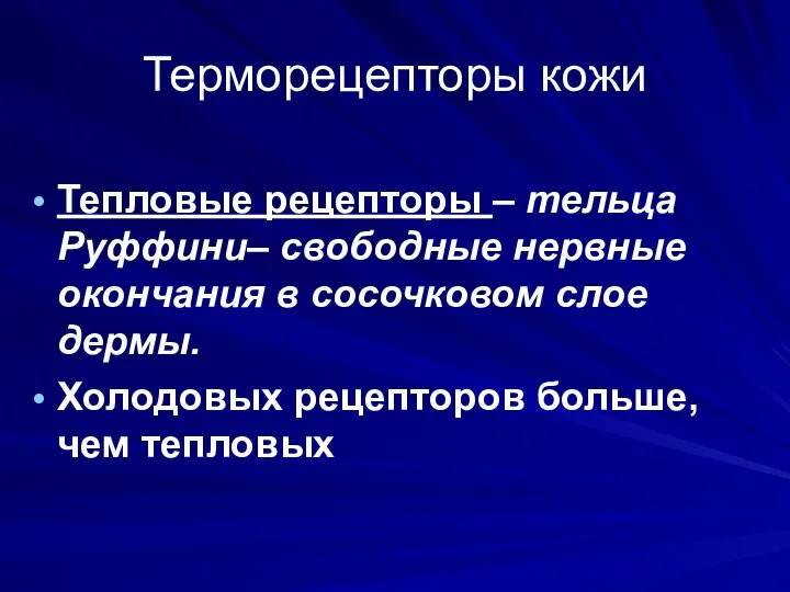 Терморецепторы кожи Тепловые рецепторы – тельца Руффини– свободные нервные окончания