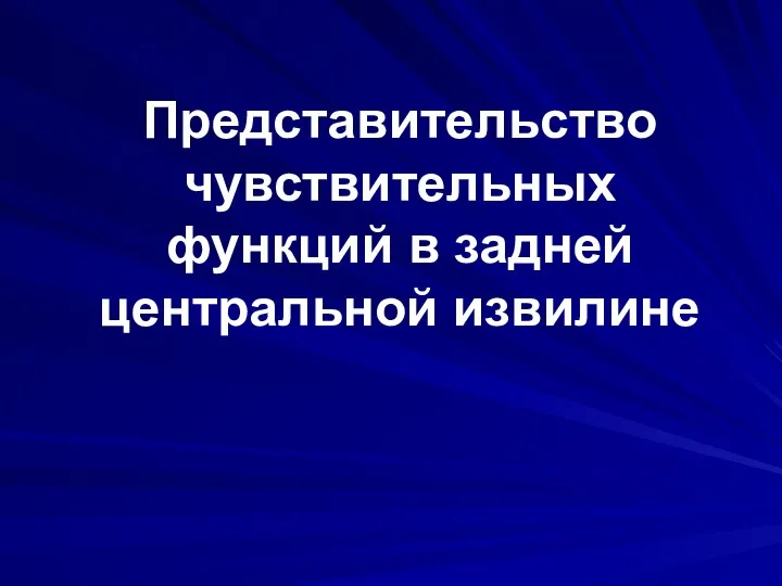 Представительство чувствительных функций в задней центральной извилине