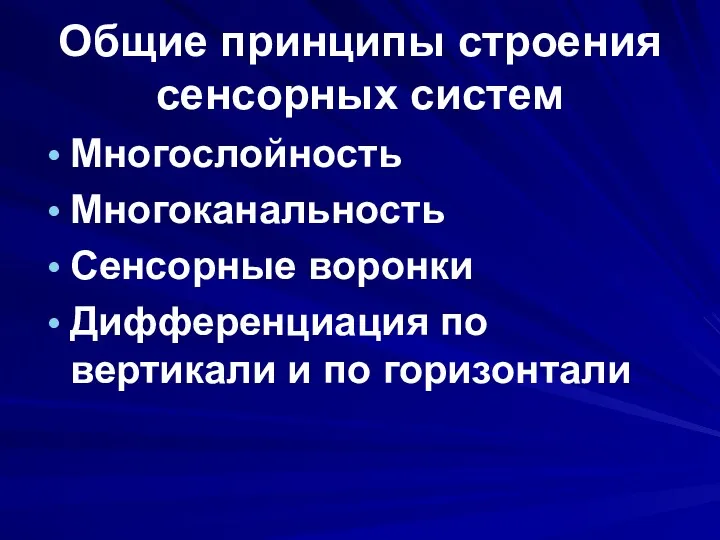 Общие принципы строения сенсорных систем Многослойность Многоканальность Сенсорные воронки Дифференциация по вертикали и по горизонтали