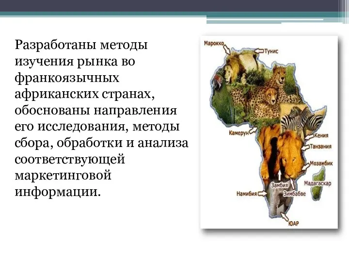 Разработаны методы изучения рынка во франкоязычных африканских странах, обоснованы направления