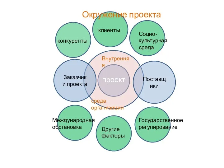 проект Внутренняя среда организации Заказчики проекта Поставщики конкуренты клиенты Социо-культурная