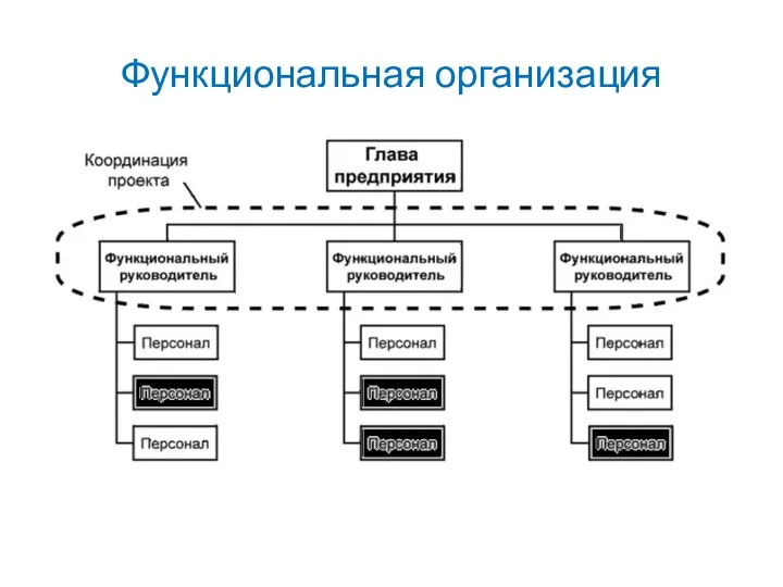 Функциональная организация