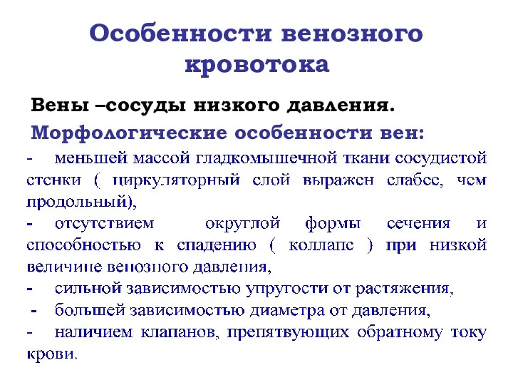 Особенности венозного кровотока Вены –сосуды низкого давления. Морфологические особенности вен: