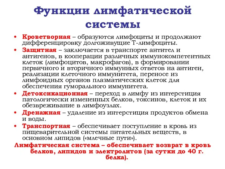 Функции лимфатической системы Кроветворная – образуются лимфоциты и продолжают дифференцировку