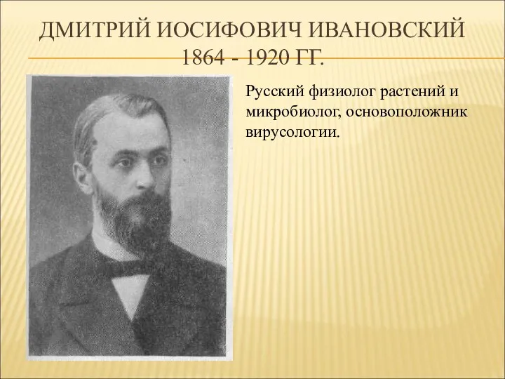 ДМИТРИЙ ИОСИФОВИЧ ИВАНОВСКИЙ 1864 - 1920 ГГ. Русский физиолог растений и микробиолог, основоположник вирусологии.