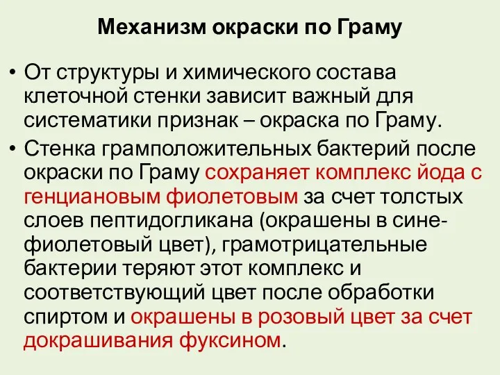 Механизм окраски по Граму От структуры и химического состава клеточной