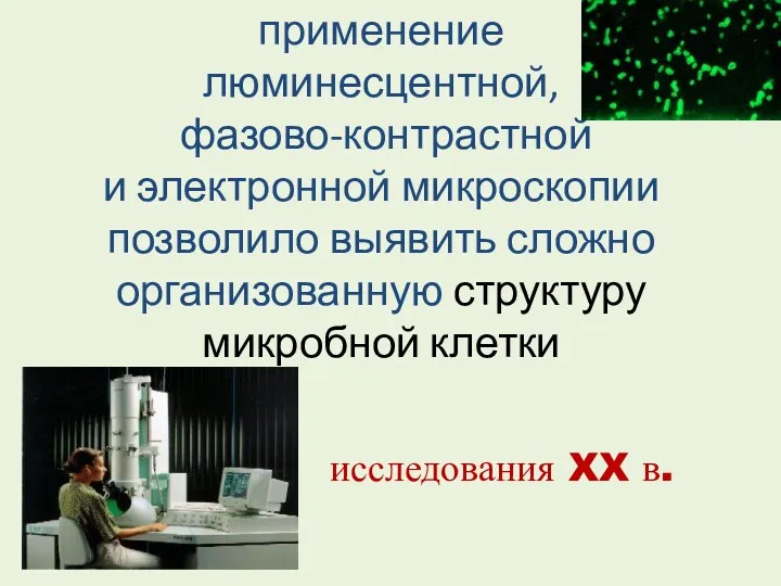 применение люминесцентной, фазово-контрастной и электронной микроскопии позволило выявить сложно организованную структуру микробной клетки исследования XX в.