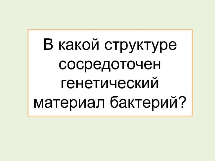 В какой структуре сосредоточен генетический материал бактерий?