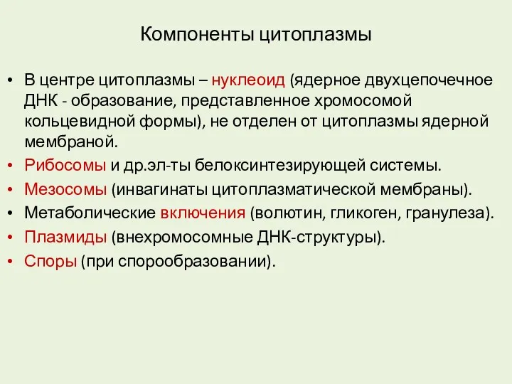 Компоненты цитоплазмы В центре цитоплазмы – нуклеоид (ядерное двухцепочечное ДНК