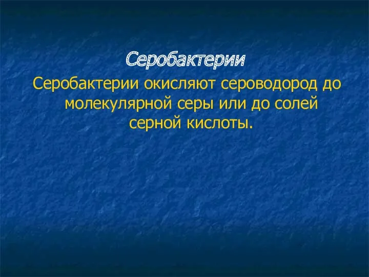 Серобактерии Серобактерии окисляют сероводород до молекулярной серы или до солей серной кислоты.