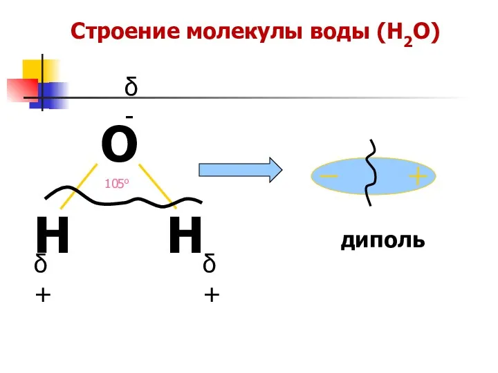 Строение молекулы воды (H2O) δ- δ+ δ+