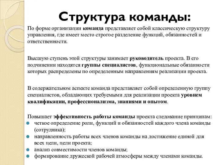 Структура команды: По форме организации команда представляет собой классическую структуру