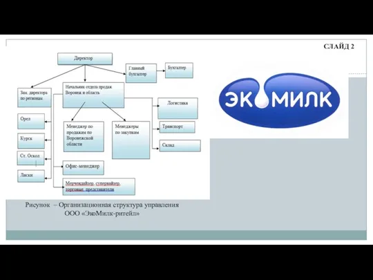 Рисунок – Организационная структура управления ООО «ЭкоМилк-ритейл» СЛАЙД 2