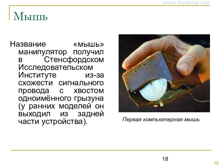 Мышь Название «мышь» манипулятор получил в Стенсфордском Исследовательском Институте из-за