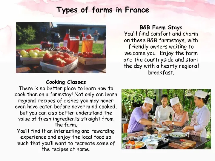 Types of farms in France B&B Farm Stays You’ll find