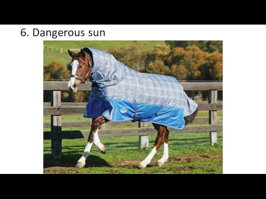 6. Dangerous sun