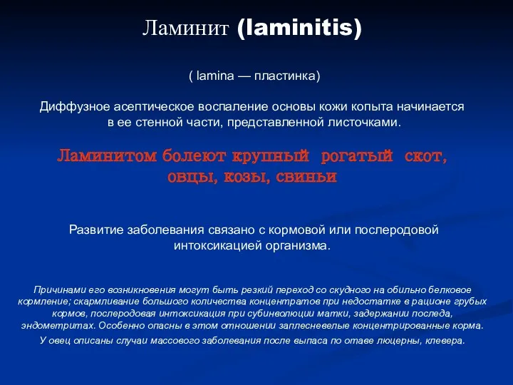 Ламинит (laminitis) ( lamina — пластинка) Диффузное асептическое воспаление основы