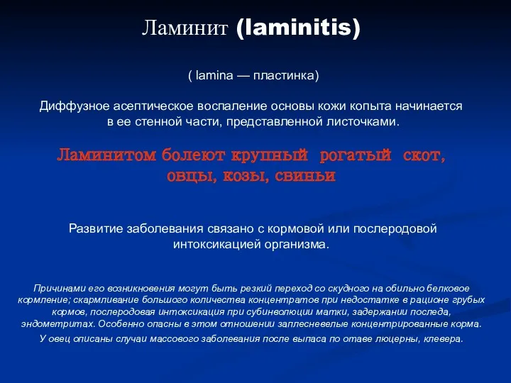 Ламинит (laminitis) ( lamina — пластинка) Диффузное асептическое воспаление основы кожи копыта начинается