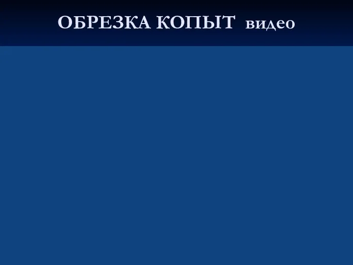 ОБРЕЗКА КОПЫТ видео