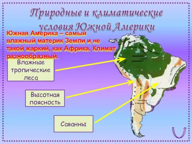 Влажные тропические леса Высотная поясность Саванны Южная Америка – самый