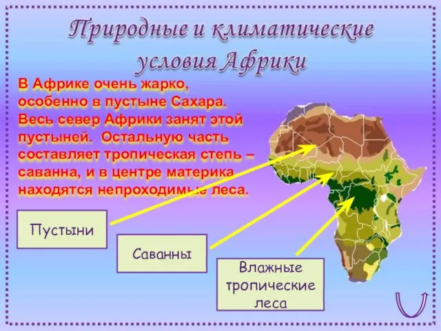 В Африке очень жарко, особенно в пустыне Сахара. Весь север