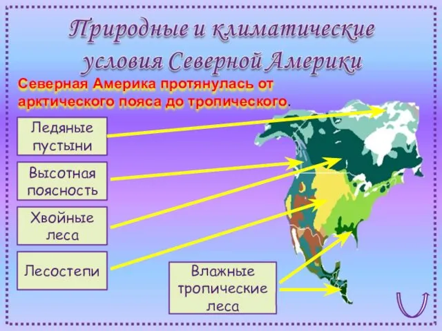 Влажные тропические леса Ледяные пустыни Высотная поясность Хвойные леса Лесостепи