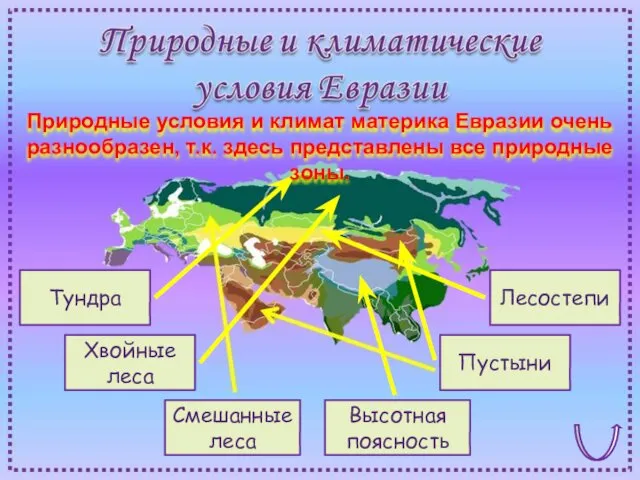 Тундра Хвойные леса Лесостепи Пустыни Смешанные леса Высотная поясность Природные