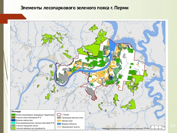 Элементы лесопаркового зеленого пояса г. Перми