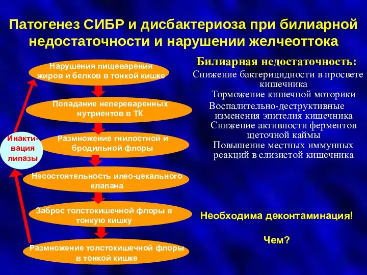 Патогенез СИБР и дисбактериоза при билиарной недостаточности и нарушении желчеоттока