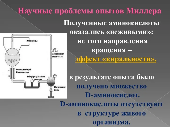 Научные проблемы опытов Миллера Полученные аминокислоты оказались «неживыми»: не того направления вращения –