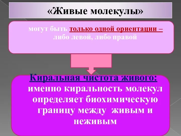 «Живые молекулы» могут быть только одной ориентации – либо левой, либо правой Киральная