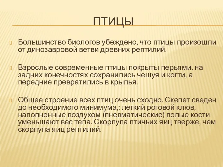 ПТИЦЫ Большинство биологов убеждено, что птицы произошли от динозавровой ветви