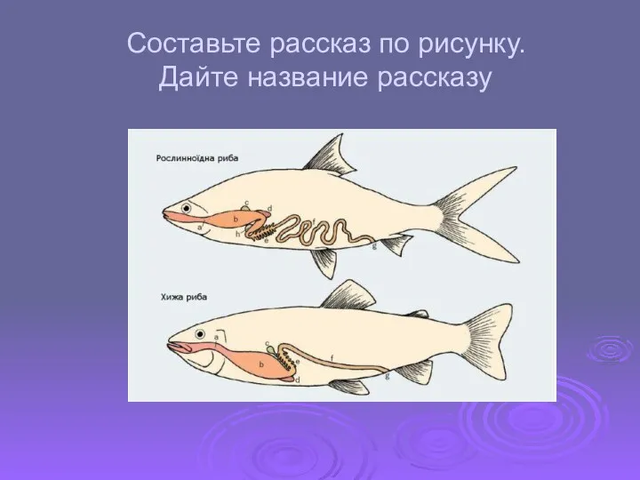 Составьте рассказ по рисунку. Дайте название рассказу