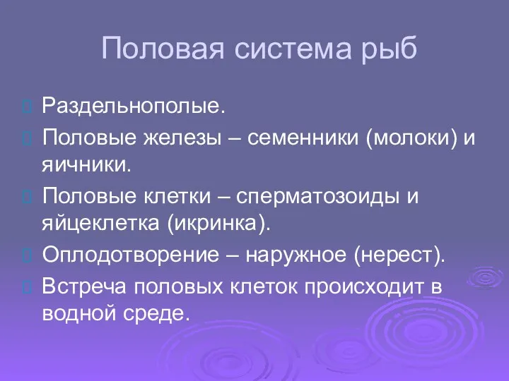 Половая система рыб Раздельнополые. Половые железы – семенники (молоки) и