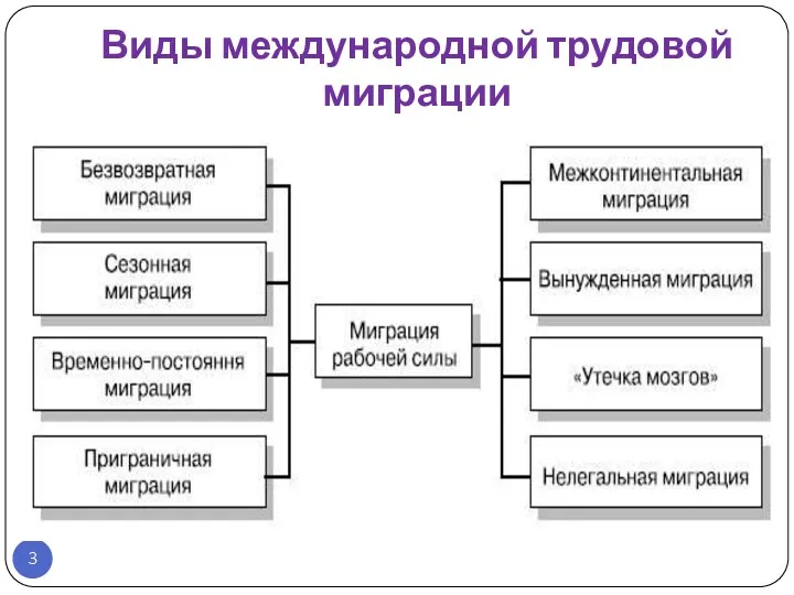 Виды международной трудовой миграции